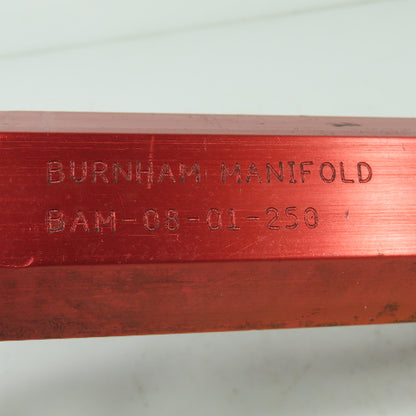 Burnham BAM-08-01-250 Manifold 10 Port Air Water 1" Inlet 8 Outlet Ports 1/4 NPT
