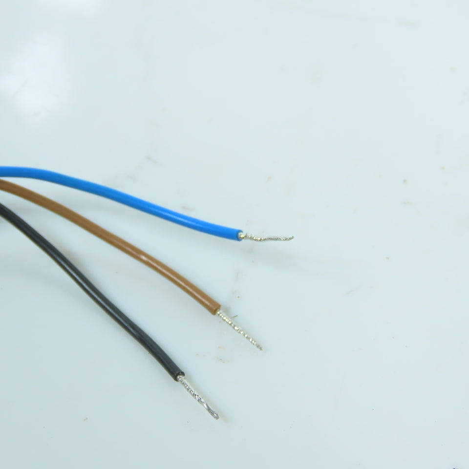 Schunk INW80/S-M12 Cordset Cable Lead ONLY For Proximity Switch (3 Conductor)