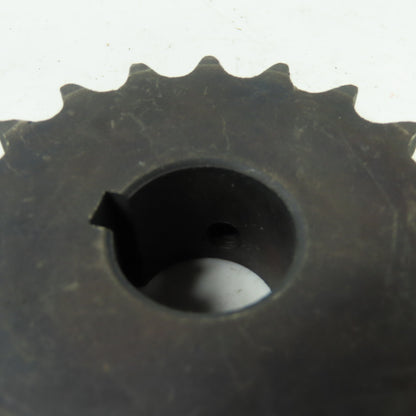 Martin 40BS191 19-Tooth Sprocket 1" Bore 3-1/4" OD