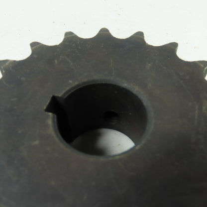 Martin 40BS191 19-Tooth Sprocket 1" Bore 3-1/4" OD