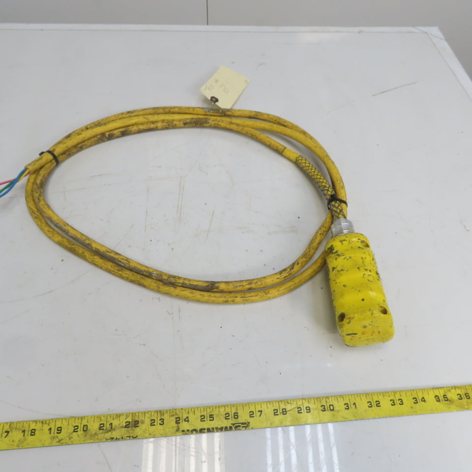 Square D BW93Y Hoist Pendant Station Control Wand W/10' Cord 3 Wire W/Ground