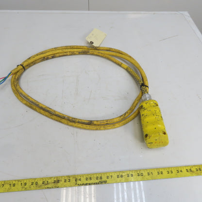 Square D BW93Y Hoist Pendant Station Control Wand W/10' Cord 3 Wire W/Ground