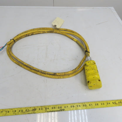 Square D BW93Y Hoist Pendant Station Control Wand W/10' Cord 3 Wire W/Ground