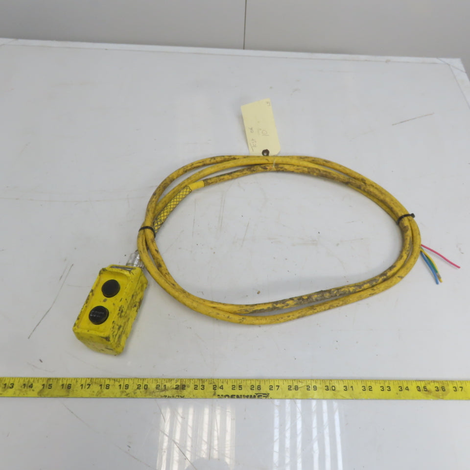 Square D BW93Y Hoist Pendant Station Control Wand W/10' Cord 3 Wire W/Ground