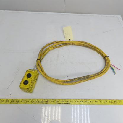 Square D BW93Y Hoist Pendant Station Control Wand W/10' Cord 3 Wire W/Ground