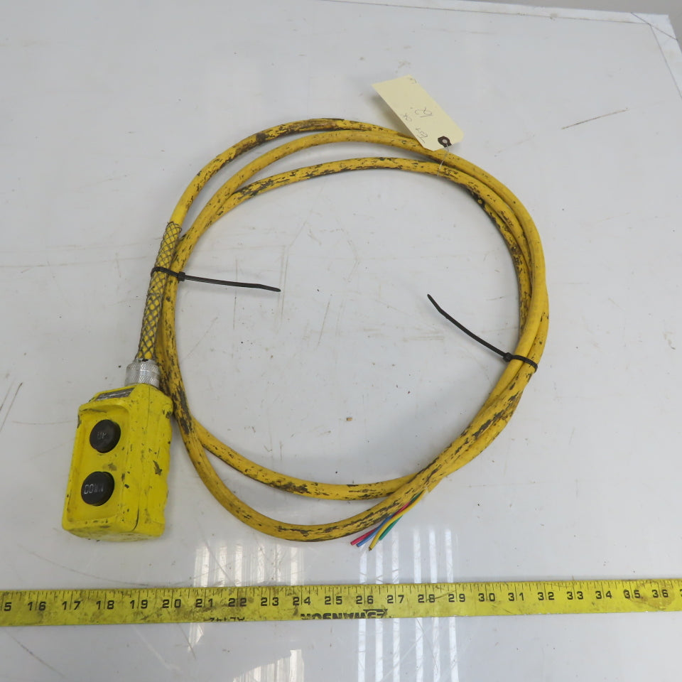 Square D BW93Y Hoist Pendant Station Control Wand W/12' Cord 3 Wire W/Ground