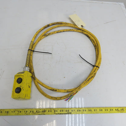Square D BW93Y Hoist Pendant Station Control Wand W/12' Cord 3 Wire W/Ground