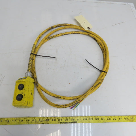 Square D BW93Y Hoist Pendant Station Control Wand W/12' Cord 3 Wire W/Ground