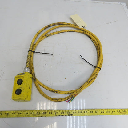 Square D BW93Y Hoist Pendant Station Control Wand W/12' Cord 3 Wire W/Ground
