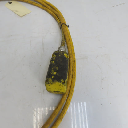 Square D BW93Y Hoist Pendant Station Control Wand W/16' Cord 3 Wire W/Ground