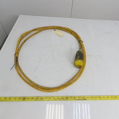 Square D BW93Y Hoist Pendant Station Control Wand W/16' Cord 3 Wire W/Ground