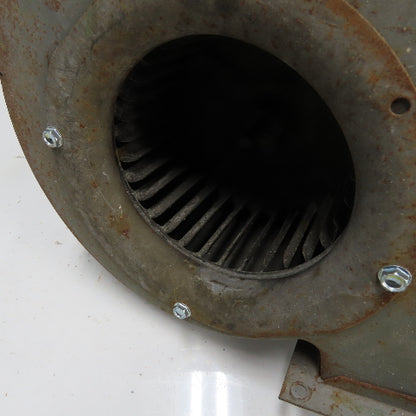Dayton 3M556D 1/40HP Direct Drive Squirrel Cage Blower Fan 115V 1A 1550RPM
