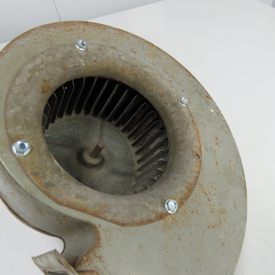 Dayton 3M556D 1/40HP Direct Drive Squirrel Cage Blower Fan 115V 1A 1550RPM