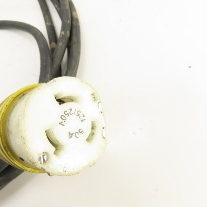 30 Amp 125VAC Power Supply Cordset For RV & Camper 28' Long 3 Wire 10AWG