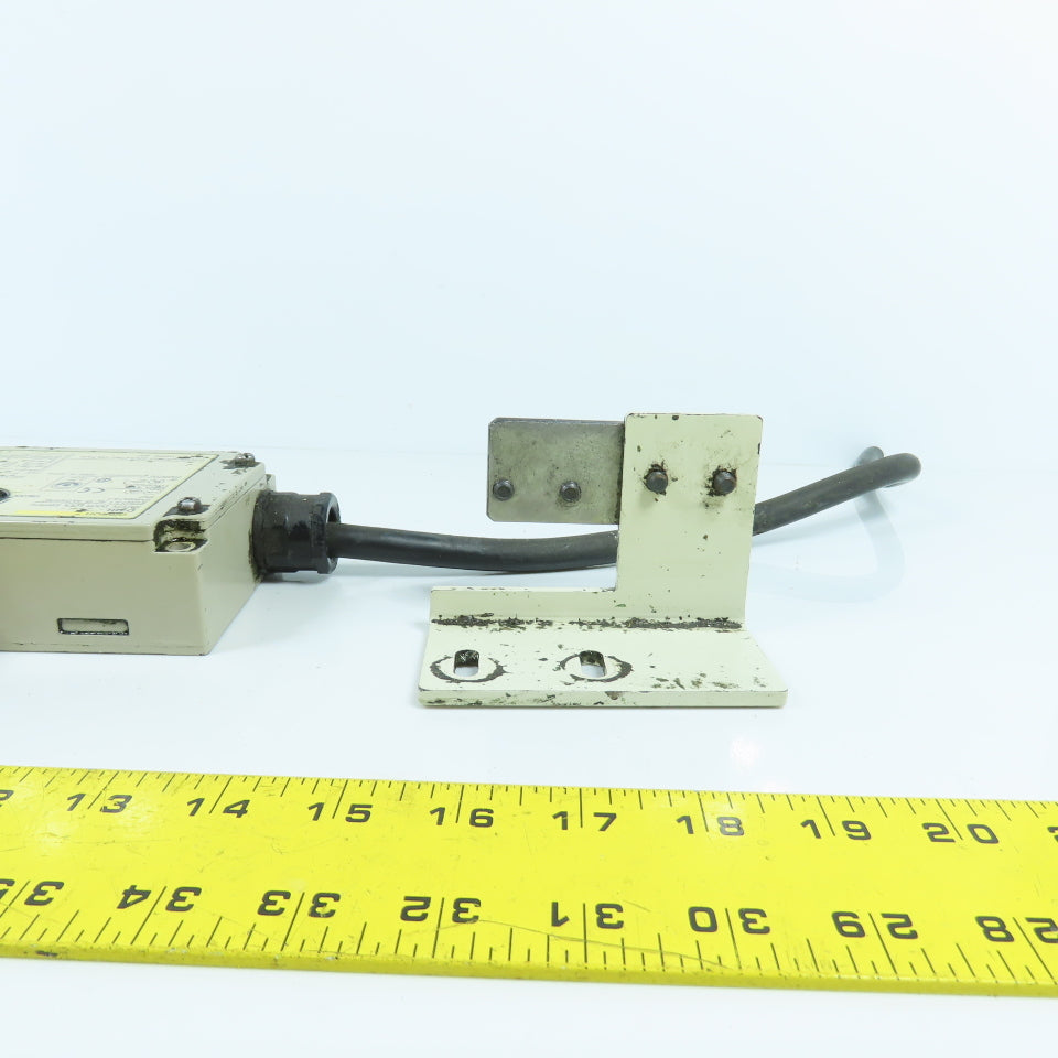 Omron D4BL-2CRA 24VDC Safety Door Gate Guard Interlock Switch W/ Mount