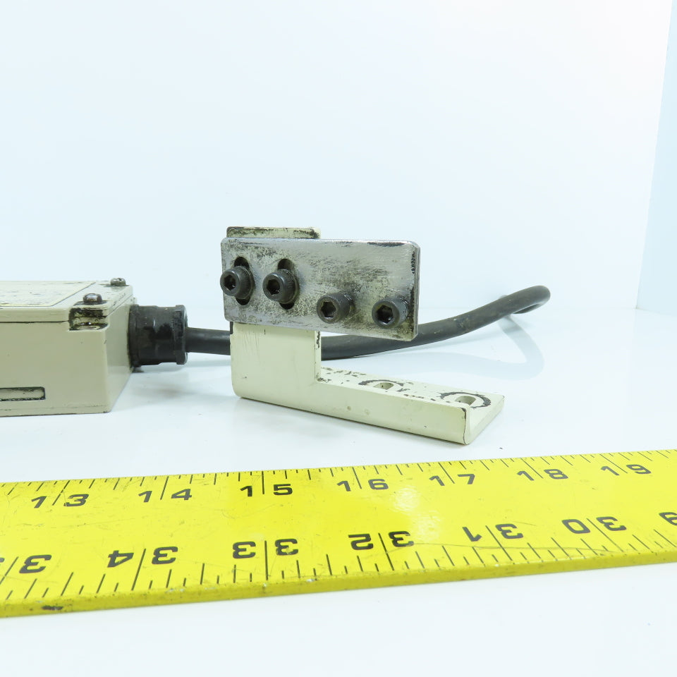 Omron D4BL-2CRA 24VDC Safety Door Gate Guard Interlock Switch W/ Mount