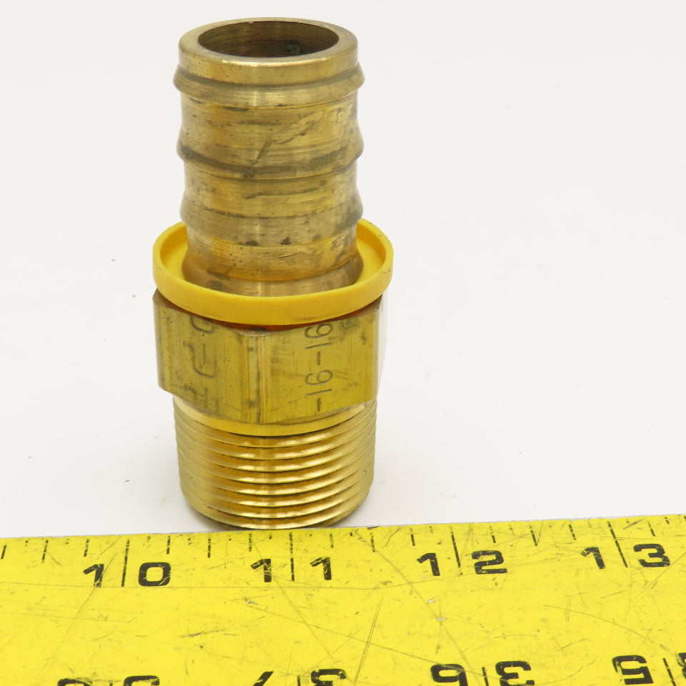 Parker 1" NPT x 1" Hose ID Brass Barb Fitting