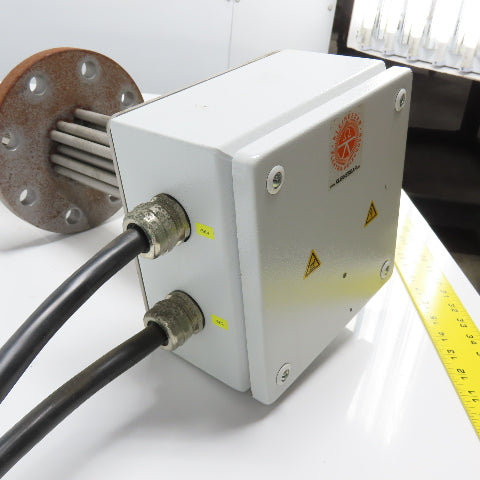 Kleinesdar Warmetechnik F80.16_30000/575-1000.12 Immersion Heating Element 575V