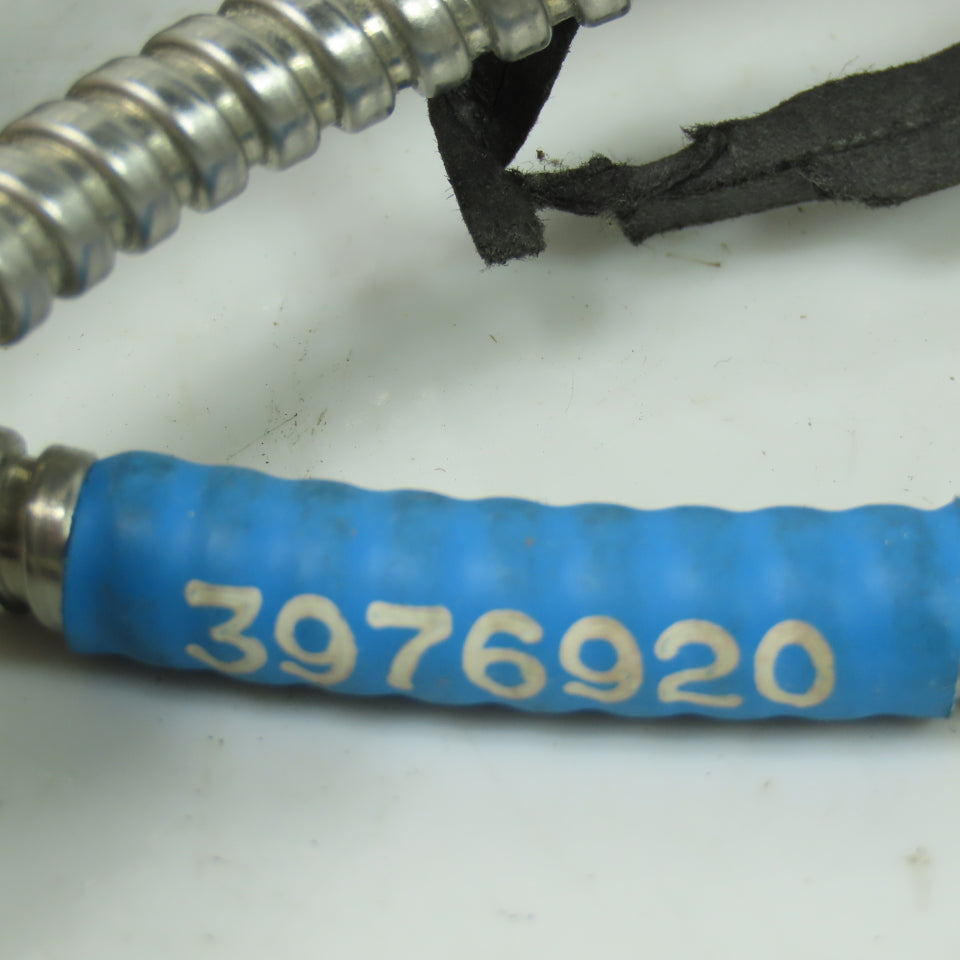3976920 Thermocouple Assembly