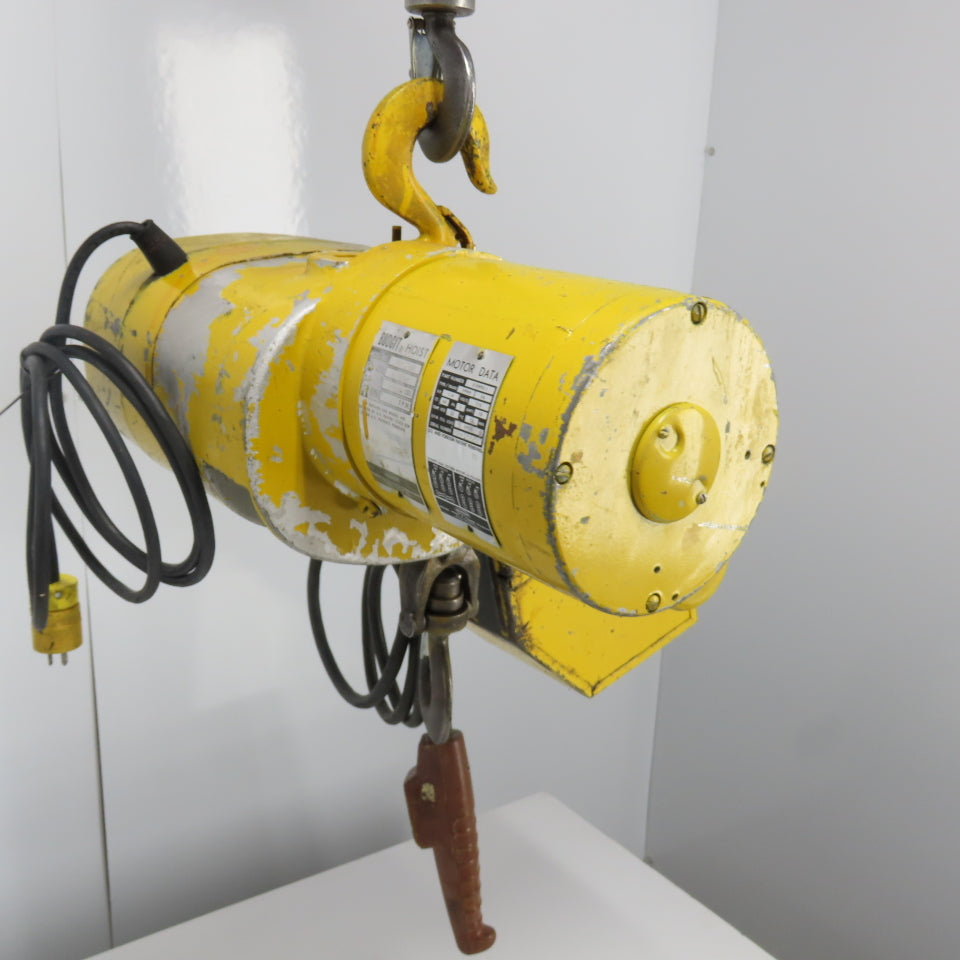Budgit 318090-1 1/8 Ton 250Lb Electric Chain Hoist 115V 1Ph 32FPM 10' Lift