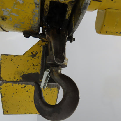 Budgit 318090-1 1/8 Ton 250Lb Electric Chain Hoist 115V 1Ph 32FPM 10' Lift