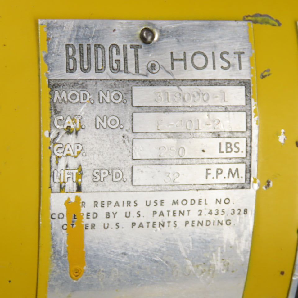 Budgit 318090-1 1/8 Ton 250Lb Electric Chain Hoist 115V 1Ph 32FPM 10' Lift