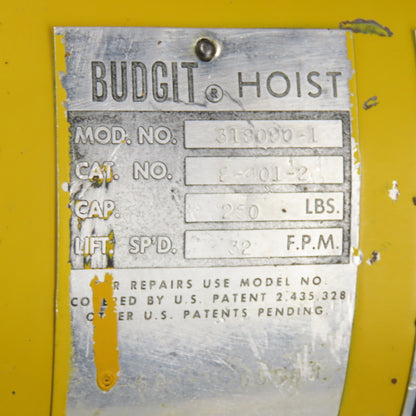 Budgit 318090-1 1/8 Ton 250Lb Electric Chain Hoist 115V 1Ph 32FPM 10' Lift