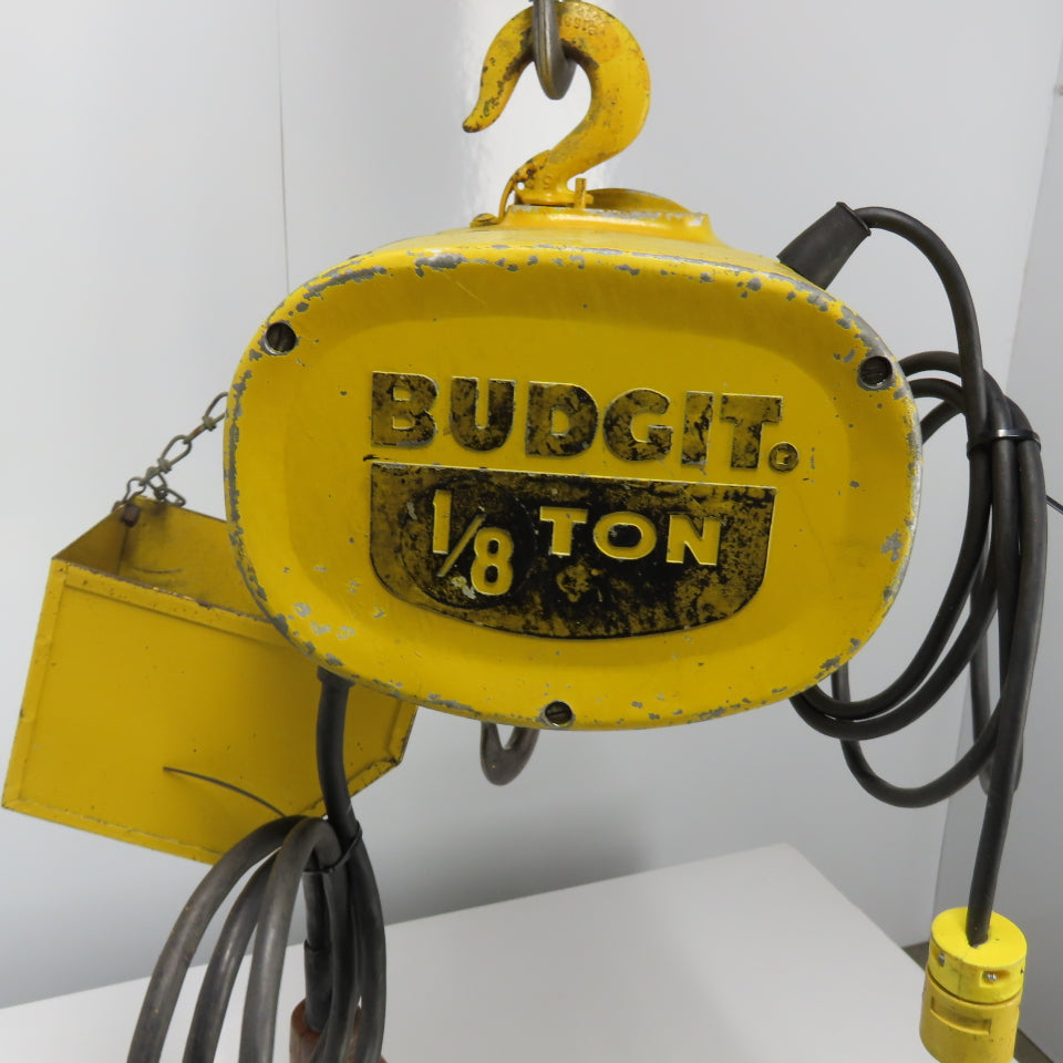 Budgit 318090-1 1/8 Ton 250Lb Electric Chain Hoist 115V 1Ph 32FPM 10' Lift