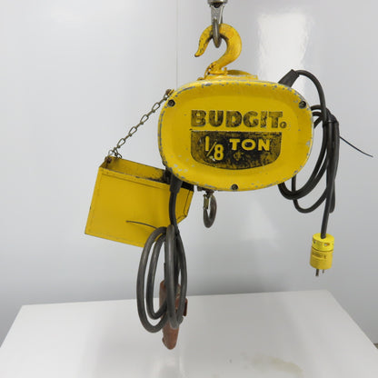 Budgit 318090-1 1/8 Ton 250Lb Electric Chain Hoist 115V 1Ph 32FPM 10' Lift