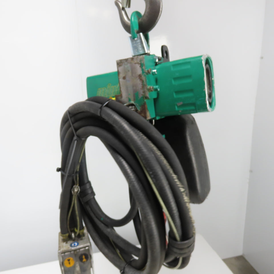 J.D. Neuhaus Mini 125 1/8 Ton 250Lb Pneumatic Air chain Hoist 4.9FPM 10' Lift