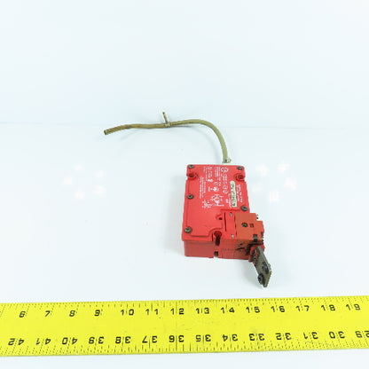 Elan Schmersal TZFWS/VT 24VDC/96 Safety Interlock Switch 24VDC W/ Key