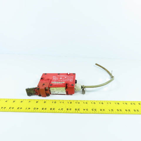 Elan Schmersal TZFWS/VT 24VDC/96 Safety Interlock Switch 24VDC W/ Key
