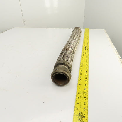 2-1/2" NPT Female x Female Stainless Steel Braided Flexible Hose 30" OAL