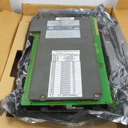 Allen Bradley 1771-OAD Ser B 12 To 120VAC Output Module (Very Clean W/ Box)