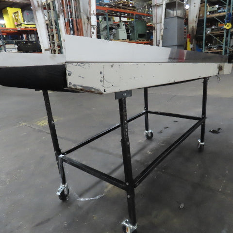 LaRos 30" Wide x 110" Adjustable Incline Discharge Conveyor No Drive
