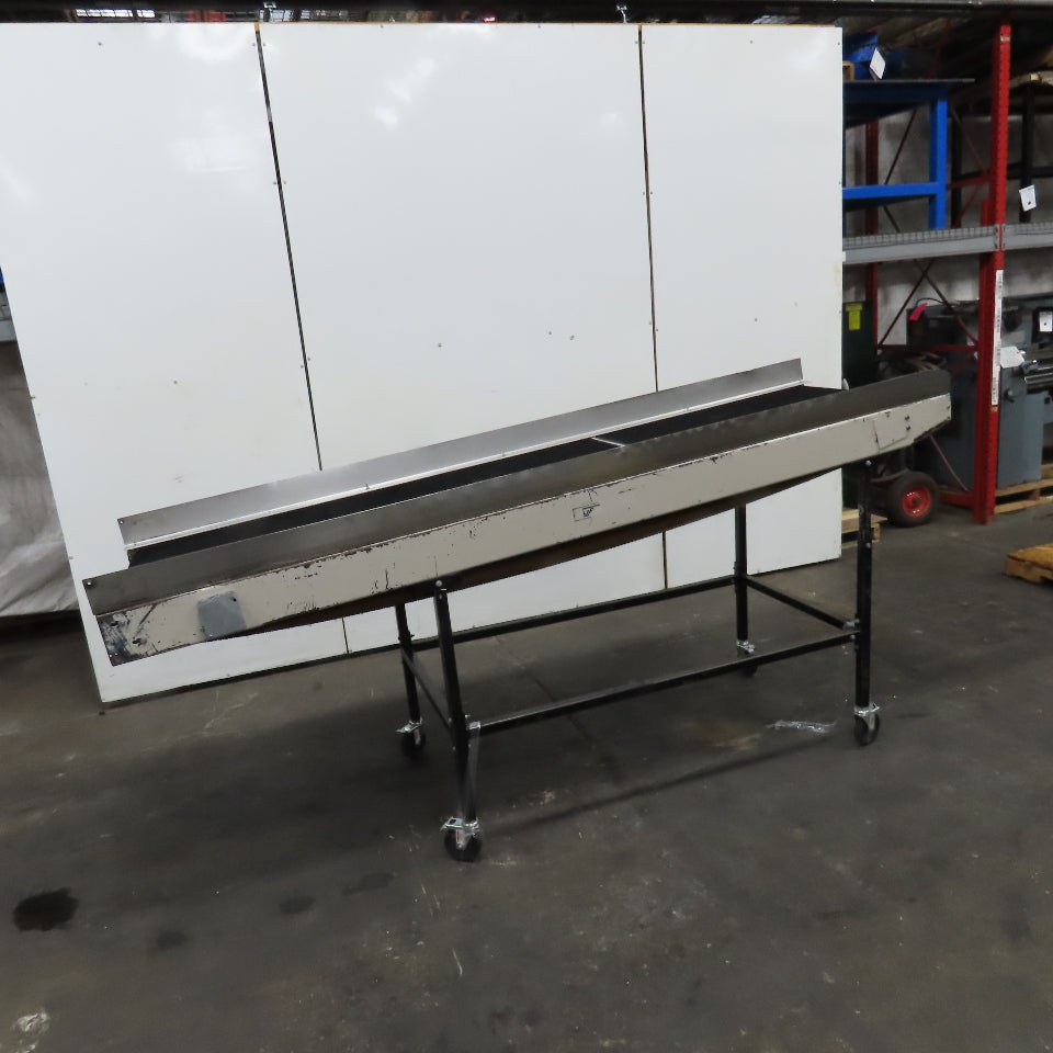 LaRos 30" Wide x 110" Adjustable Incline Discharge Conveyor No Drive