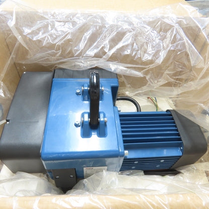 Shpz SHPZ0.25-01M 1/4 Ton 500LBS Electric Chain Hoist 460V 3Ph 2-Speed 26/6.5FPM