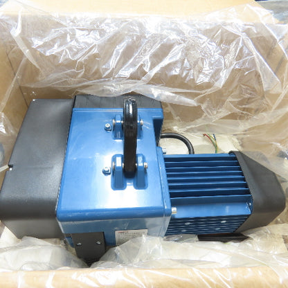 Shpz SHPZ0.25-01M 1/4 Ton 500LBS Electric Chain Hoist 460V 3Ph 2-Speed 26/6.5FPM