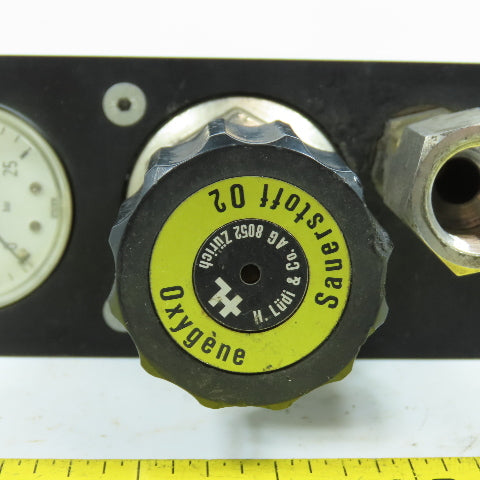 H. Lüdi + Co AG 398975 02 Oxygen Regulator W/ Gauge & Solenoid Burkert 136581H