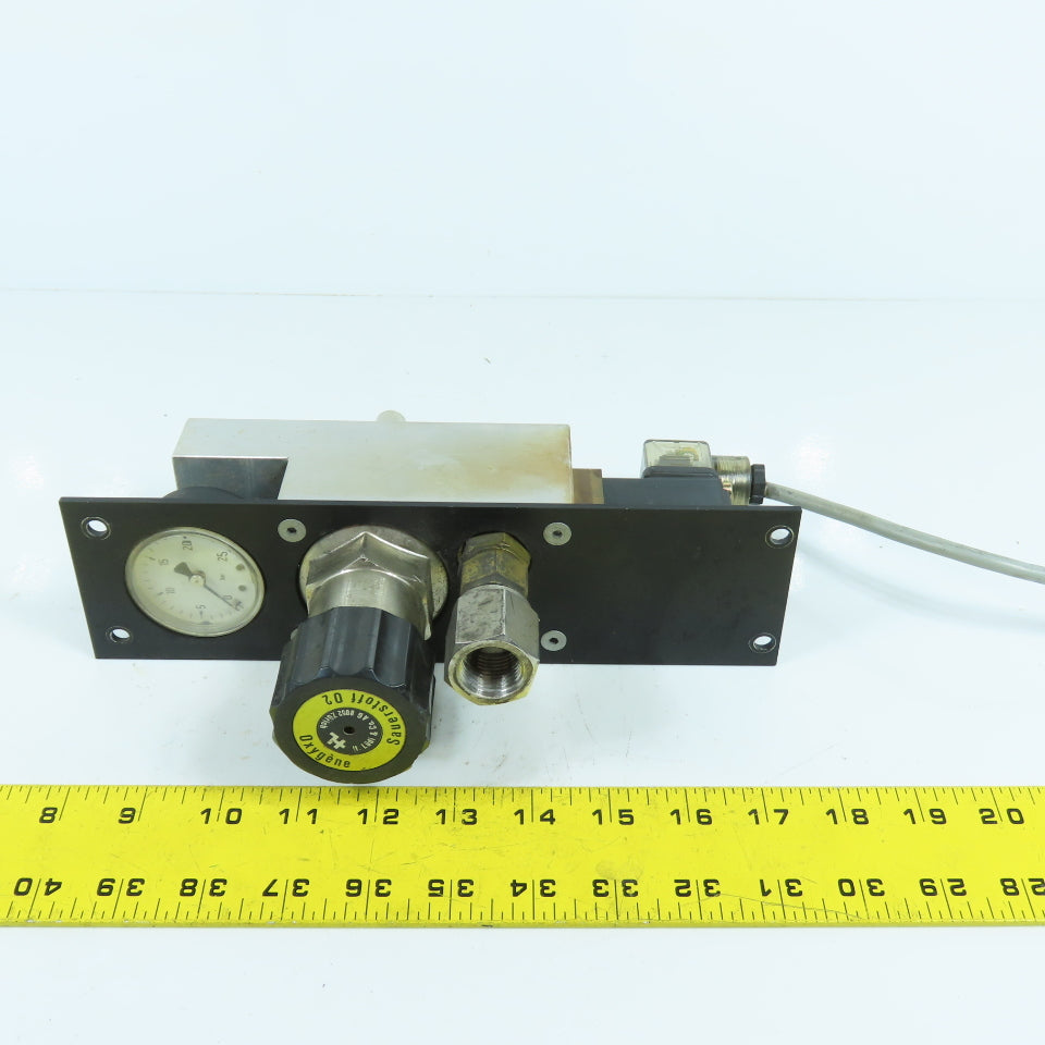 H. Lüdi + Co AG 398975 02 Oxygen Regulator W/ Gauge & Solenoid Burkert 136581H