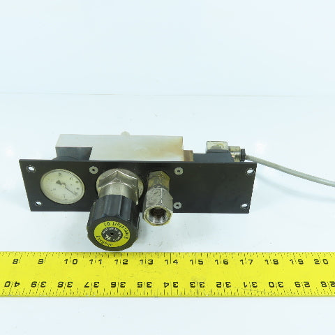H. Lüdi + Co AG 398975 02 Oxygen Regulator W/ Gauge & Solenoid Burkert 136581H