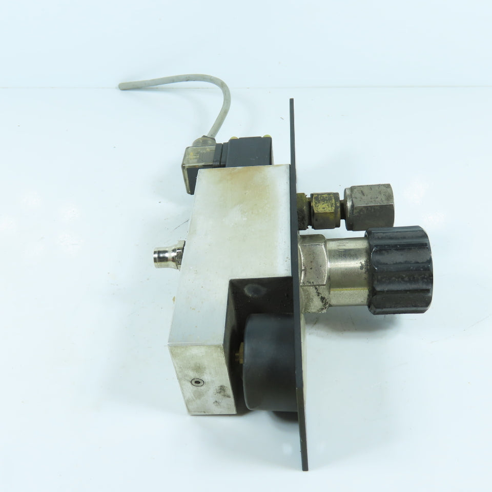H. Lüdi + Co AG 398975 02 Oxygen Regulator W/ Gauge & Solenoid Burkert 136581H