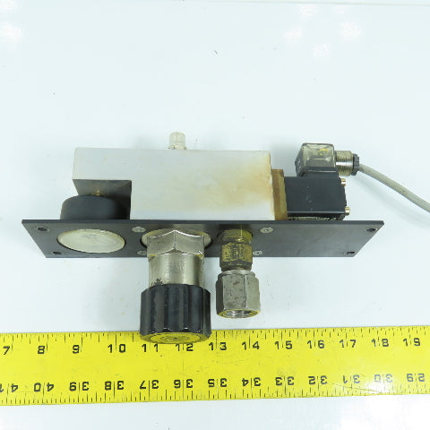 H. Lüdi + Co AG 398975 02 Oxygen Regulator W/ Gauge & Solenoid Burkert 136581H