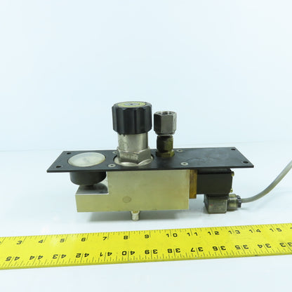 H. Lüdi + Co AG 198450 Nitrogen N2 Regulator W/ Gauge & Solenoid Burkert 136581H