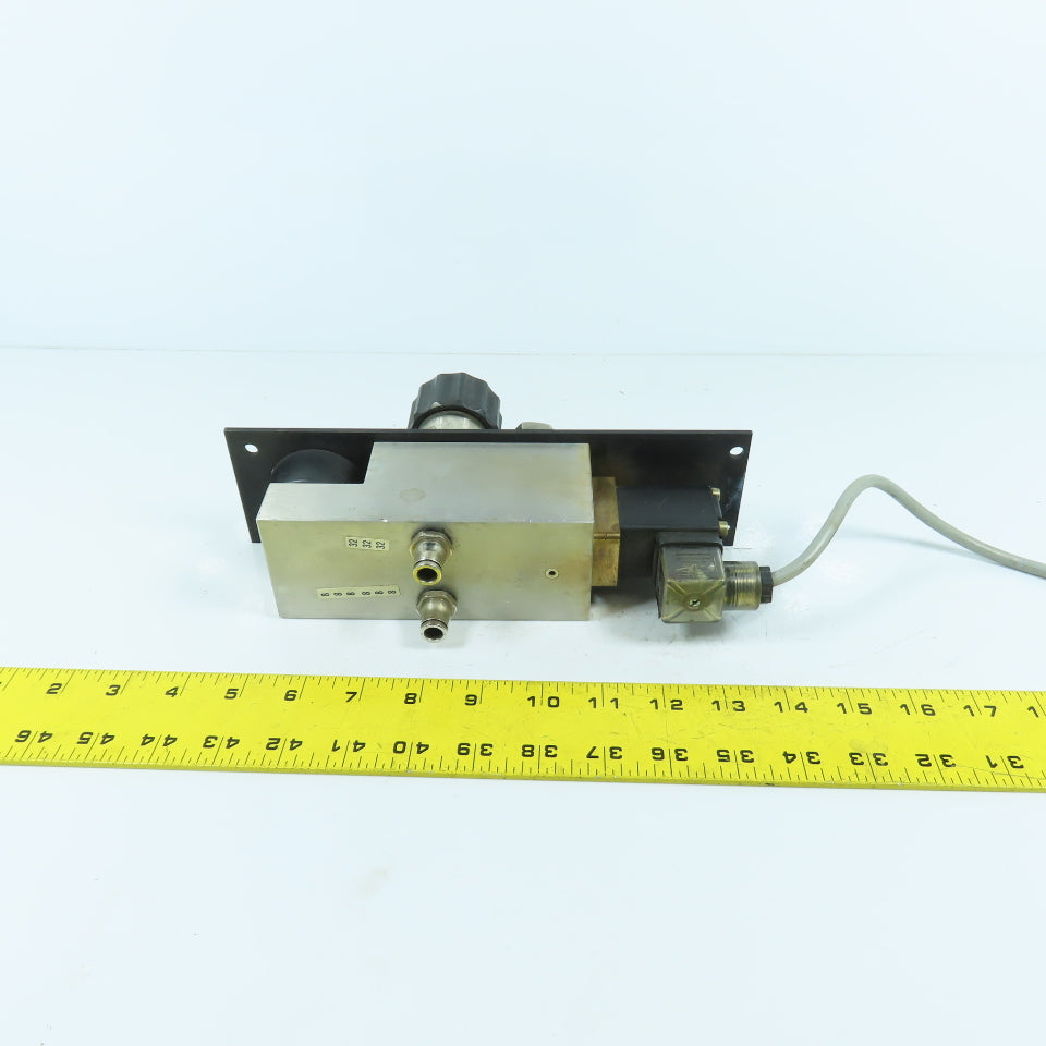 H. Lüdi + Co AG 198450 Nitrogen N2 Regulator W/ Gauge & Solenoid Burkert 136581H
