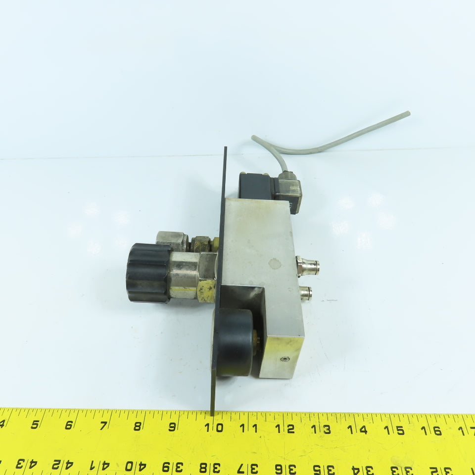 H. Lüdi + Co AG 198450 Nitrogen N2 Regulator W/ Gauge & Solenoid Burkert 136581H