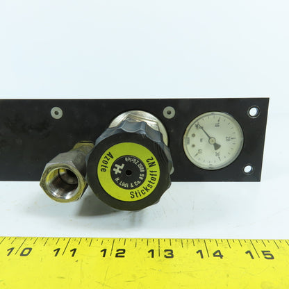 H. Lüdi + Co AG 198450 Nitrogen N2 Regulator W/ Gauge & Solenoid Burkert 136581H