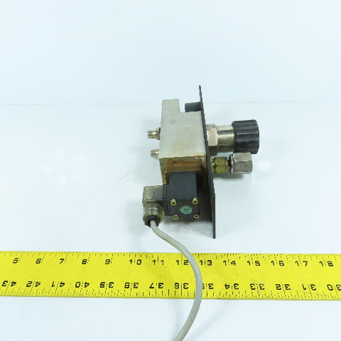 H. Lüdi + Co AG 198450 Nitrogen N2 Regulator W/ Gauge & Solenoid Burkert 136581H