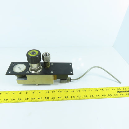 H. Lüdi + Co AG 198450 Nitrogen N2 Regulator W/ Gauge & Solenoid Burkert 136581H