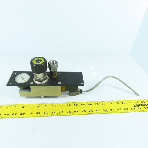 H. Lüdi + Co AG 198450 Nitrogen N2 Regulator W/ Gauge & Solenoid Burkert 136581H
